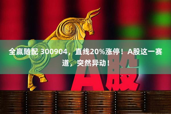 全赢随配 300904，直线20%涨停！A股这一赛道，突然异动！