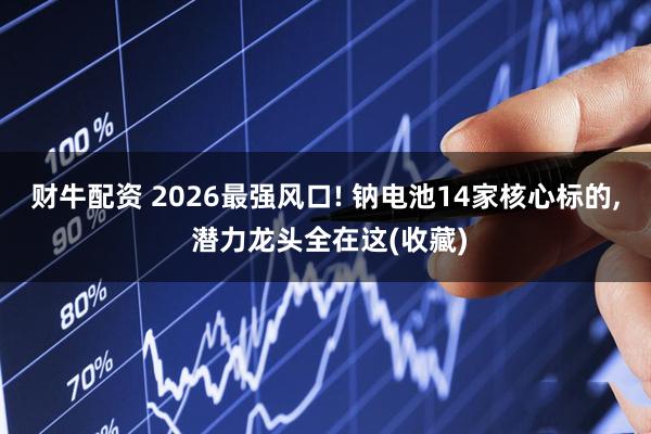 财牛配资 2026最强风口! 钠电池14家核心标的, 潜力龙头全在这(收藏)